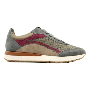 Jambu Jamie Mesh