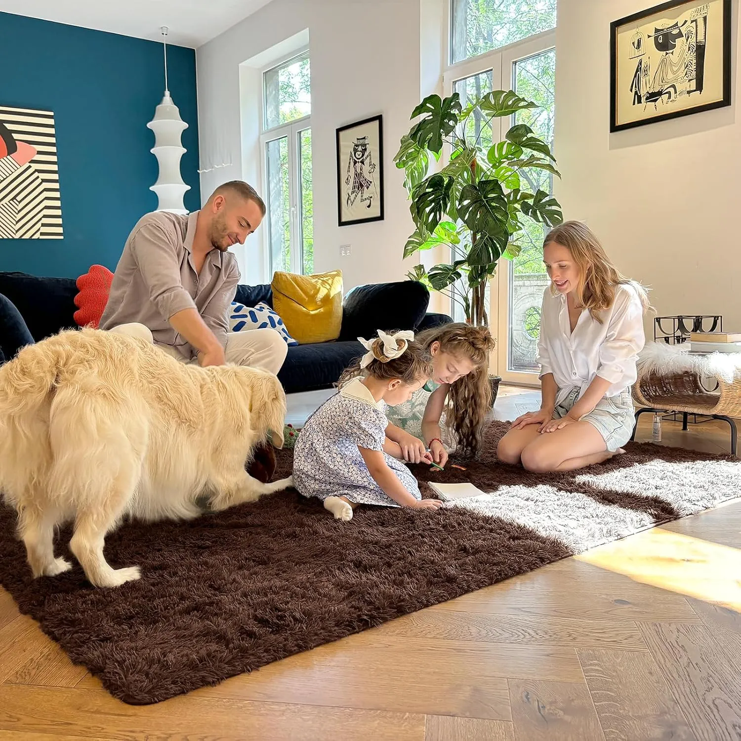 OLANLY Area Rugs for Living Room Bedroom, Machine Washable 4x5.9 Feet Soft Fluffy Shaggy Bedside Rug, Indoor Floor Carpet for Kids Girls and Boys, Dorms, Nursery Rooms, Home Decor Aesthetic, Coffee