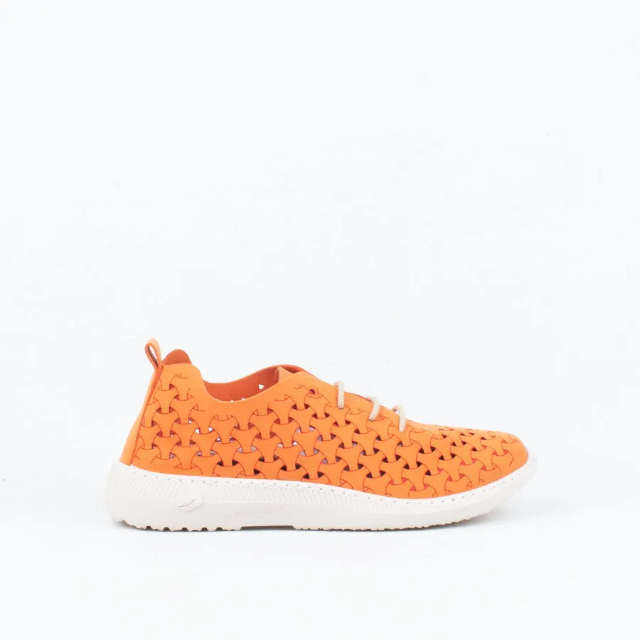 Paloma Sneaker