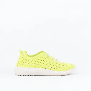 Paloma Sneaker