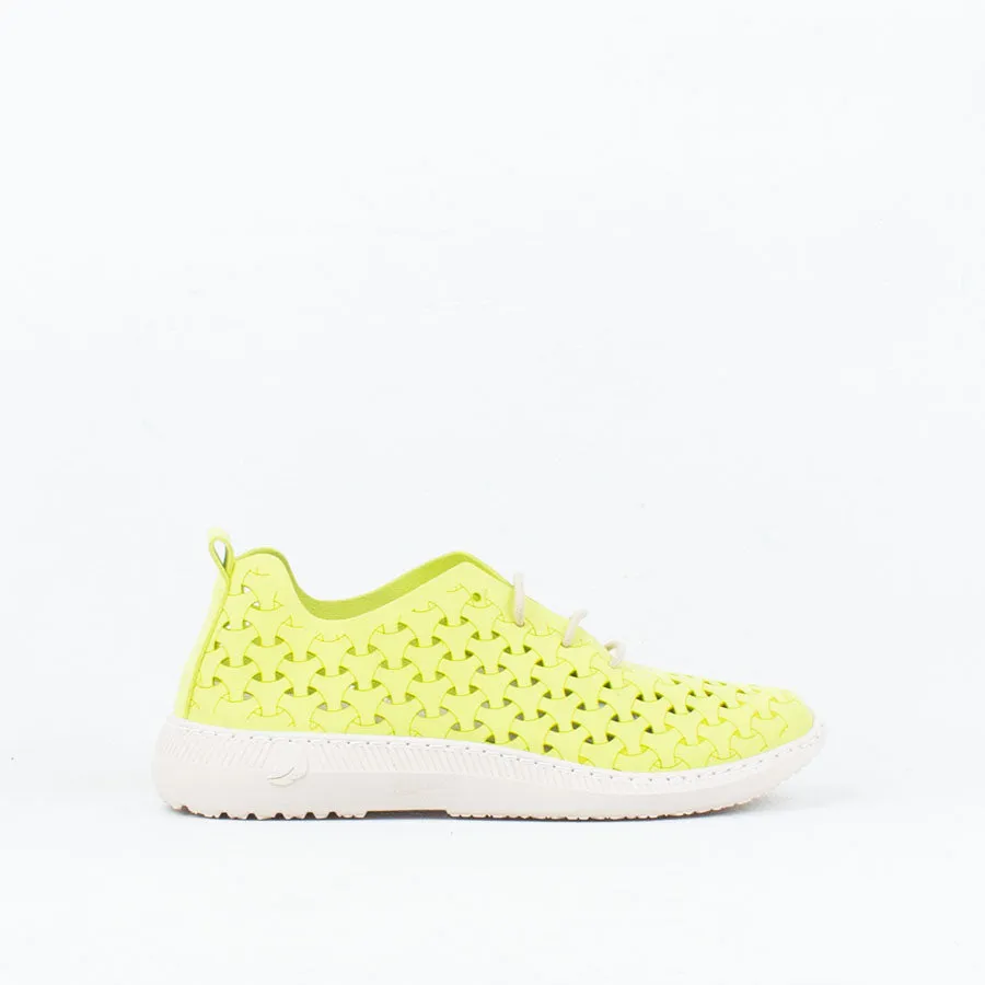 Paloma Sneaker
