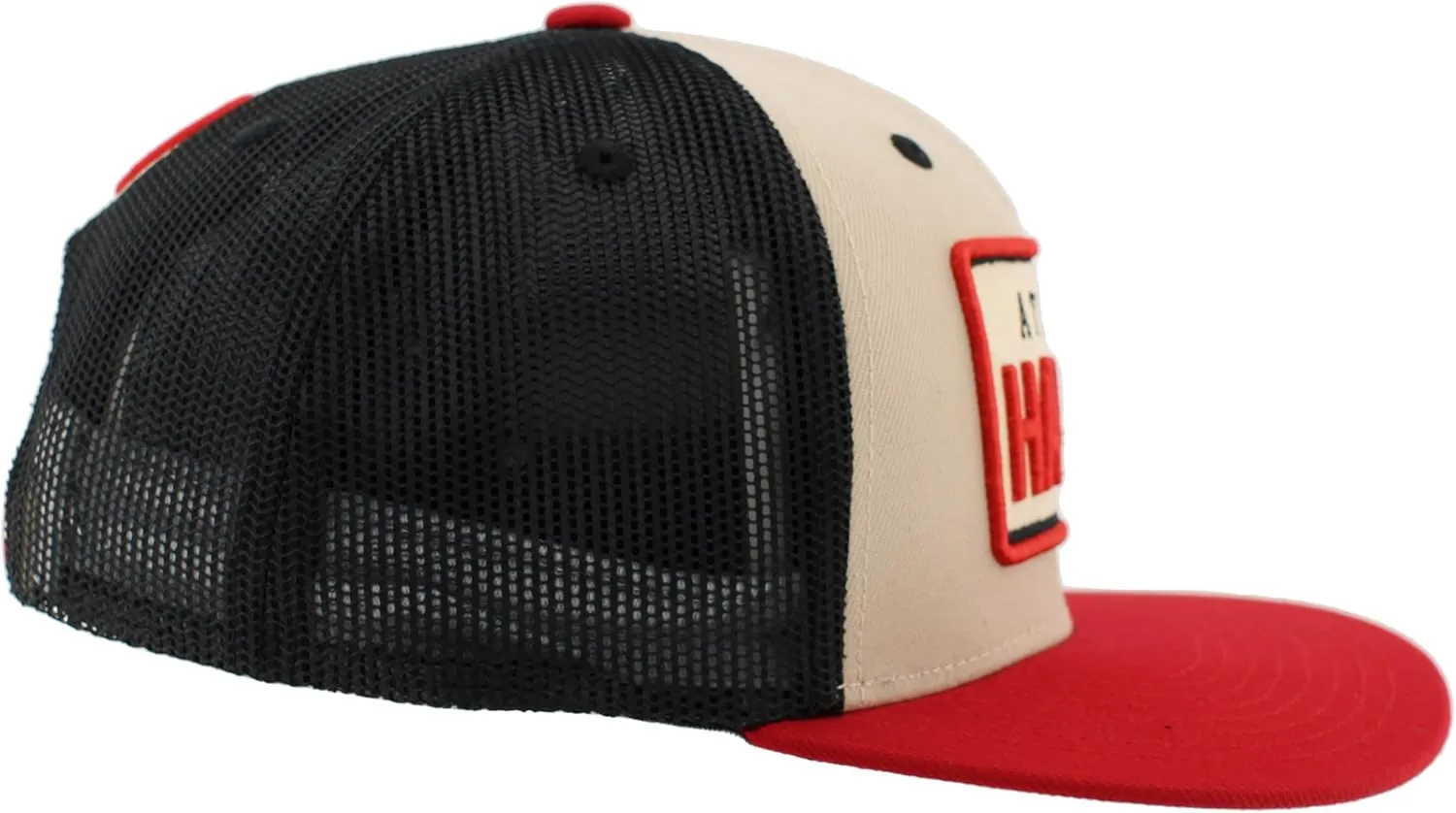 ZHATS NBA Officially Licensed Adjustable Snapback Hat Paradigm